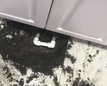 八步查漏水哪家好